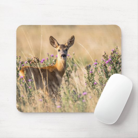 Young Roe Deer in Meadow Muismat (Met muis)