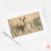 Young Roe Deer in Meadow Rechthoekige Sticker (Envelop)
