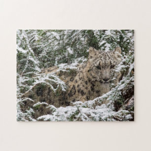 Young Snow Leopard Legpuzzel
