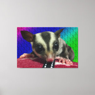 Young Sugar Glider Canvas Afdruk