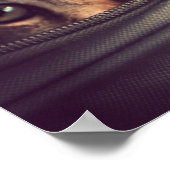 Young Tabby Kitten Poster (Hoek)