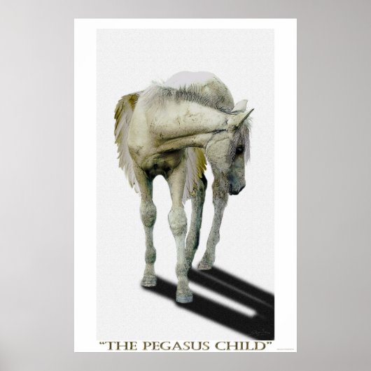 Young White Pegasus Colt Fantasy Art Poster (Voorkant)