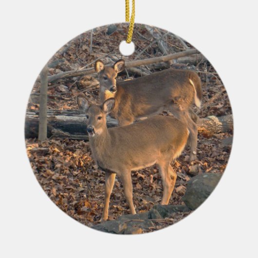 Young Whitetail Deer Kerstversiering Keramisch Ornament (Voorkant)