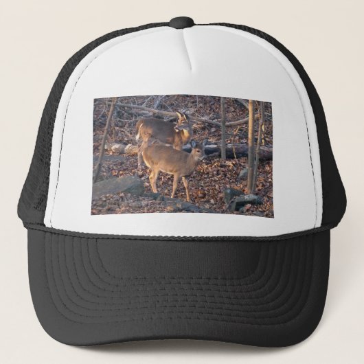 Young Whitetail Deer Series Trucker Pet (Voorkant)