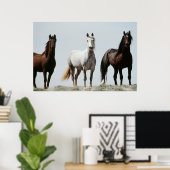 Young Wild Stallions Poster (Thuiskantoor)