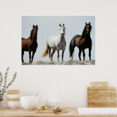 Young Wild Stallions Poster (Keuken)