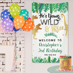 Young Wild & Three Dinosaur Boys 3rd Birthday Spandoek
