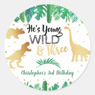 Young Wild & Three Dinosaur Boys Third Birthday Ronde Sticker