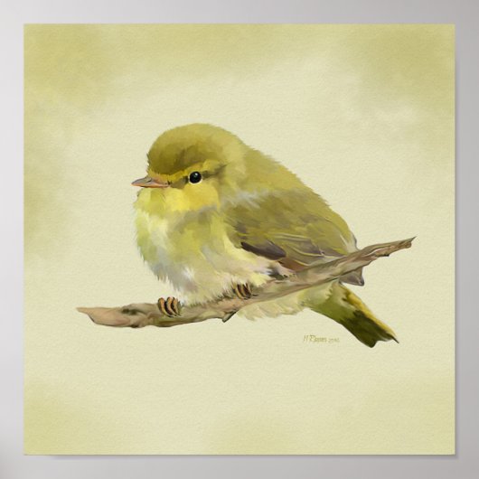 Young Wood Warbler Poster (Voorkant)