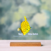 Young Yellow Boxfish Acryl Bord (Neutraal)