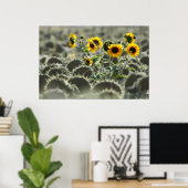 Young Yellow Sunflower Poster (Thuiskantoor)