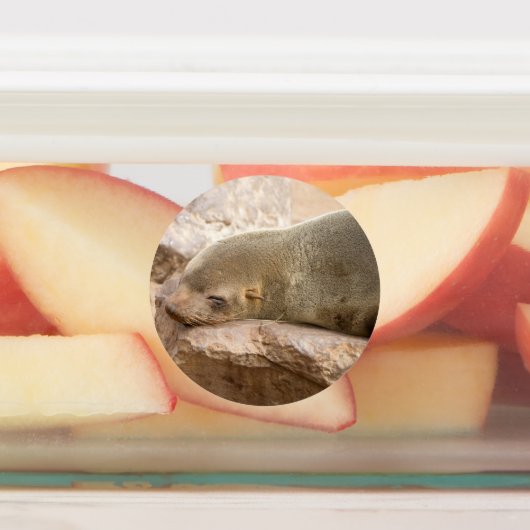 Young zee lion labels (Aangebracht)