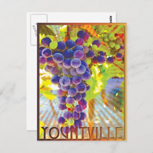 Yountville California Grape Cluster Briefkaart (Voorkant / Achterkant)