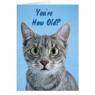 Your How Old? - cat