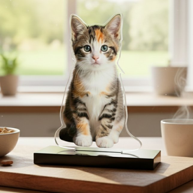 Your Kitten Photo Acrylic Cut Out Statue Staand Fotobeeldje (Your Kitten Photo Acrylic Cut Out Statue)