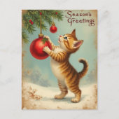 Your Own Text Season’s Greetings Kitten Postcard Feestdagenkaart (Voorkant)