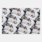 Your pet dog puppy custom photo chihuahua pattern inpakpapier vel (Voorkant)