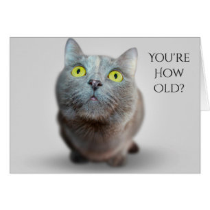 You're How Old? Catty Birthday Card