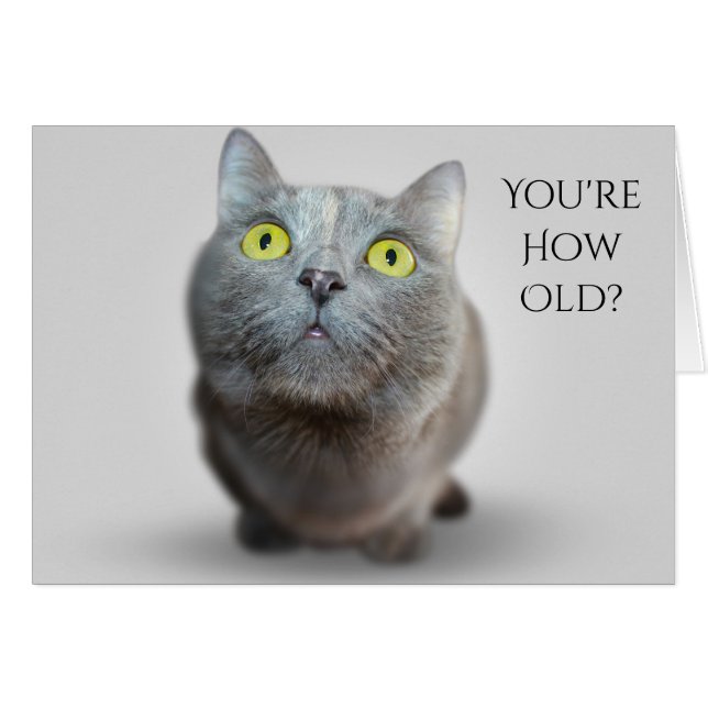 You're How Old? Catty Birthday Card (Devant horizontal)