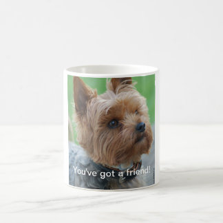 You've got a friend - Yorkshire-Terrier - Mug Koffiemok