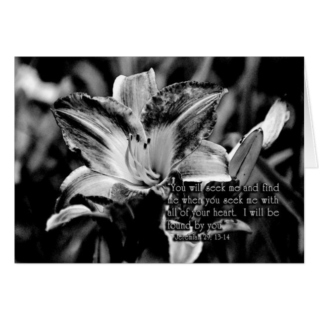 YouwillzoekmeandfindmeZazzle (Voorkant Horizontaal)