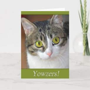 Yowzers Kaart