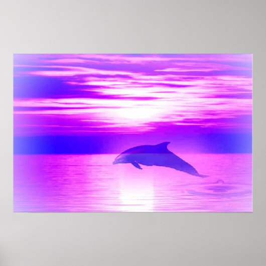 Ysundolphin Poster (Voorkant)