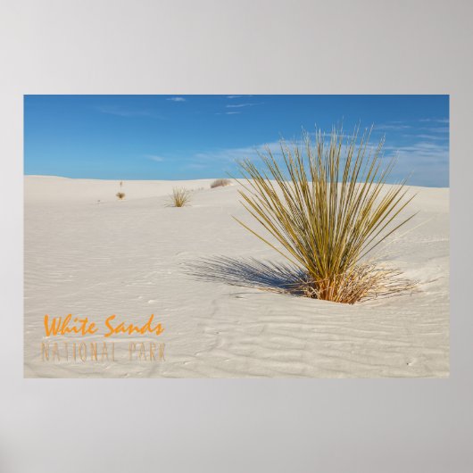 Yucca bij White Sands Poster (Voorkant)