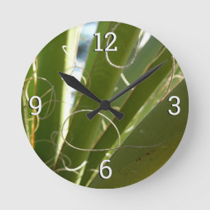 Yucca Bladeren Groen Natuurfotografie Ronde Klok