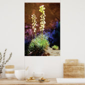 Yucca Flowers in Capitolreef Poster (Keuken)