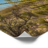 Yucca in de woestijn, Mexico Poster (Hoek)