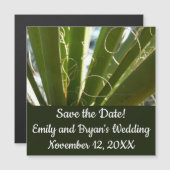 Yucca laat groene Natuur fotografie (Voorkant / Achterkant)