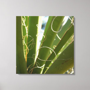 Yucca laat groene Natuur fotografie Canvas Afdruk