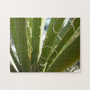Yucca laat groene Natuur fotografie Legpuzzel