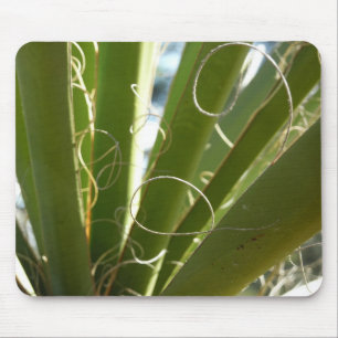 Yucca laat groene Natuur fotografie Muismat