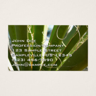 Yucca laat groene Natuur fotografie Visitekaartje