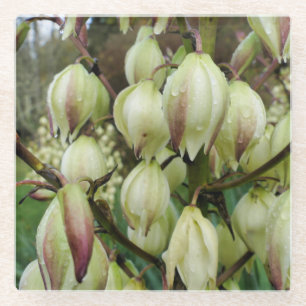 Yucca Plant Glazen Onderzetter
