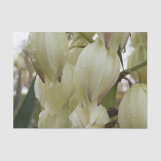 Yucca Plant  Tissuepapier