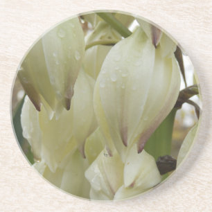 Yucca Plant Zandsteen Onderzetter