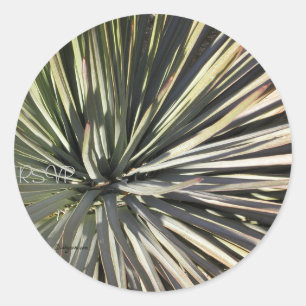 Yucca Radiale RSVP Wedding Seals Sticker