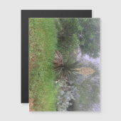 Yucca Scene Magneet (Landschap) (Voorkant / Achterkant)