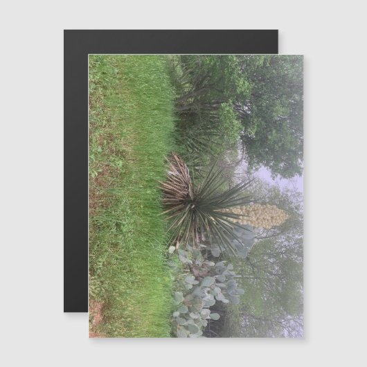 Yucca Scene Magneet (Landschap) (Voorkant / Achterkant)
