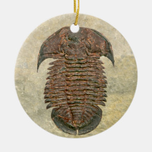 Yuepingia Fossil Trilobite Keramisch Ornament