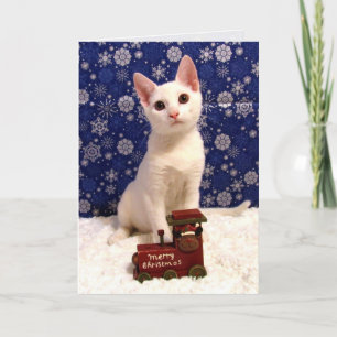 Yuki's kersttrein - Cat Holiday Greeting Kaart