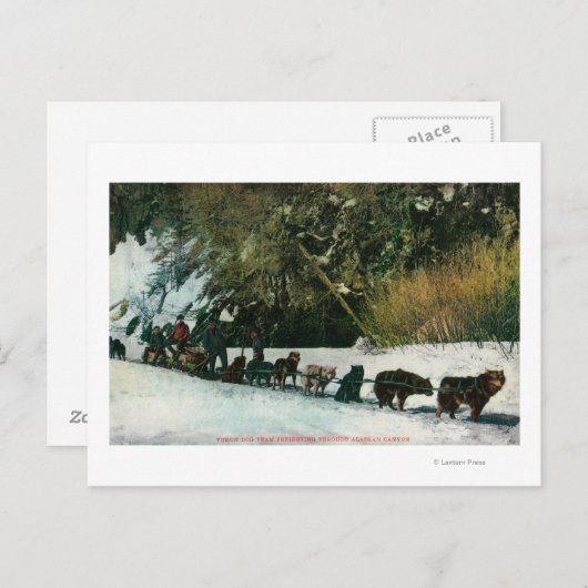 Yukon Dog Team dat door Alaska Canyon rijdt Briefkaart (Voorkant / Achterkant)
