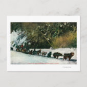 Yukon Dog Team dat door Alaska Canyon rijdt Briefkaart (Voorkant)