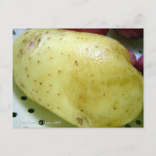 Yukon Gold-aardappel Briefkaart
