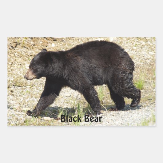 Yukon Ours Noir Faune Sticker Cadeaux (Devant)