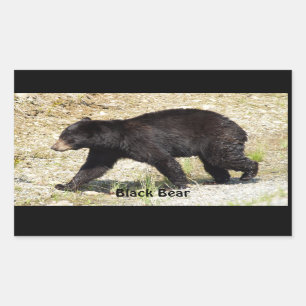 Yukon Ours Noir Faune Sticker Cadeaux
