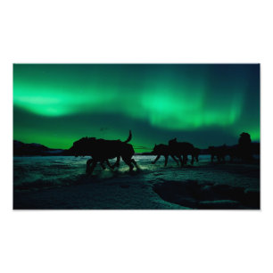 Yukon Quest Magic Foto Afdruk